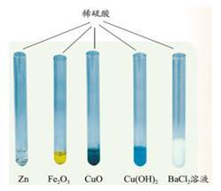 浙江省嘉興市2020-2021學年九年級上學期科學第一次素質檢測試卷