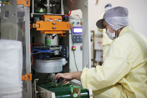 幾千噸話梅 瓜子已上線,杭州這家老牌食品廠想拼一下雙十一,你會去助力嗎